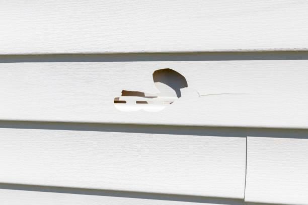 Best Siding Removal and Disposal  in Franklin, VA