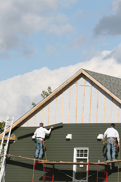 Best Steel Siding Installation  in Franklin, VA